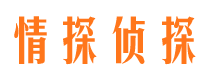 吉隆市调查公司